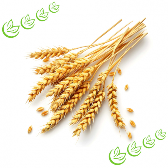 Phytokeratin L 25 kg